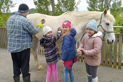 Die Erstkommunionkinder beim Tiere striegeln (Foto: Katrin Weixler)